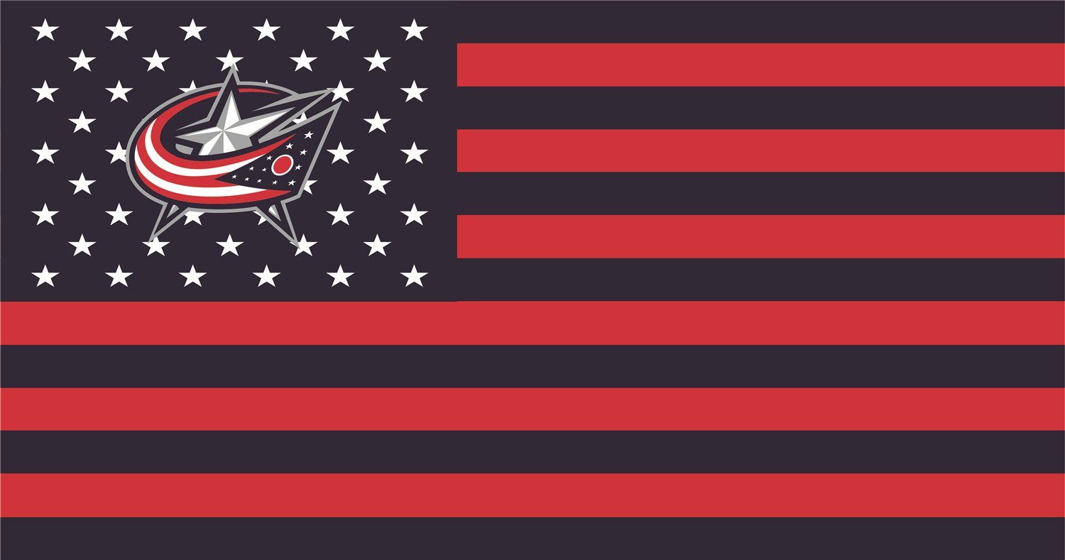Columbus Blue Jackets Flags DIY iron on transfer (heat transfer)